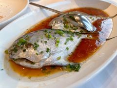 清蒸小鲳鱼-阿明小菜·海鲜·上海菜(梅陇店)