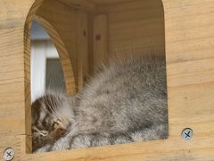 -青藏高原野生动物园