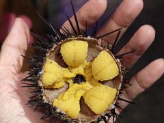 -三月居酒屋(青年大街店)