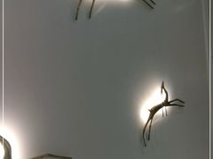 -Deer Park鹿园西餐(仁恒置地广场店)