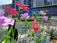 -深圳湾万象城(南山店)