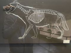 -北京周口店北京人遗址博物馆