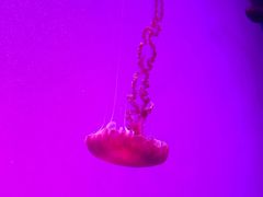 -沈阳海洋探索中心