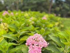 -香山公园