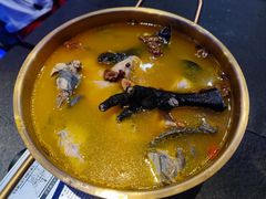 -Darling Queen·Mini·Live·House