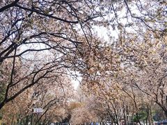 -山东师范大学(千佛山校区)