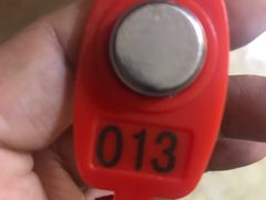 -翡翠湖迎宾馆·游泳馆