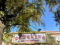 -三里屯东五街银杏大道