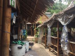 景观位-Jungle Kitchen