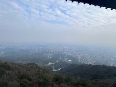 -杭州半山国家森林公园