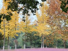 -云龙湖旅游景区