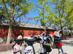 -BE YOLO必有乐&小红帽三明治