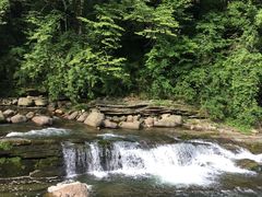 -黎坪国家森林公园