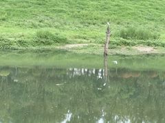 -洨河生态公园
