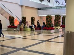 -厦门高崎国际机场-T3航站楼