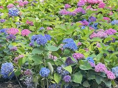 -沈阳植物园