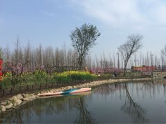 田园东方-田园东方蜜桃村的田野营地