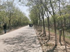 -西青郊野公园
