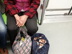 -紫荆广场·花漫里