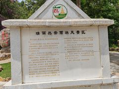 -莫里热带雨林景区