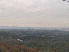-紫金山山顶公园