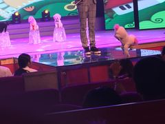 -和平大戏院(凯旋路店)