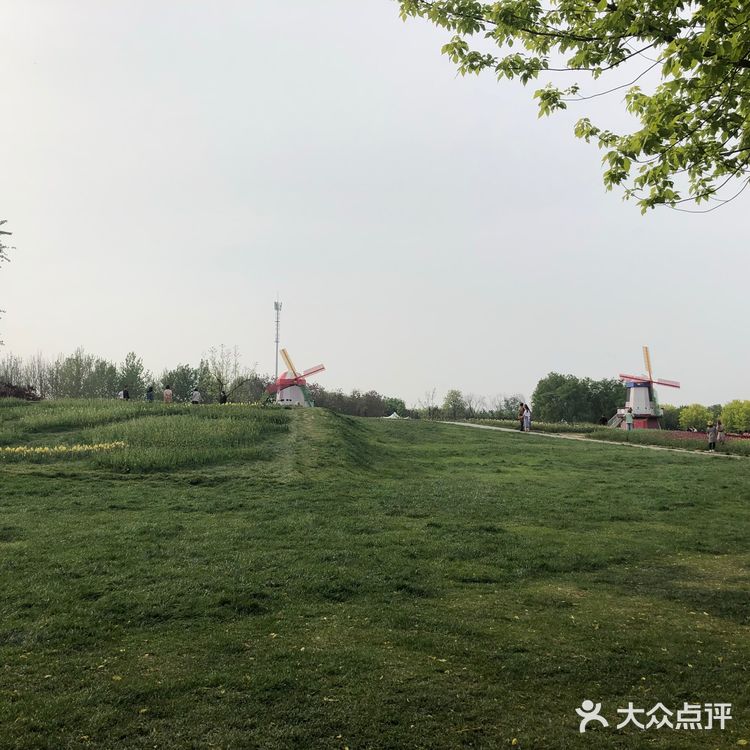 我们今天去那里野餐了，有成片的草地