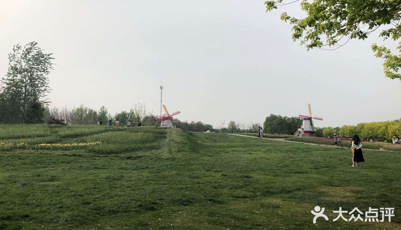 我们今天去那里野餐了，有成片的草地
