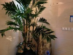 -东方之珠洗浴休闲广场(和平店)