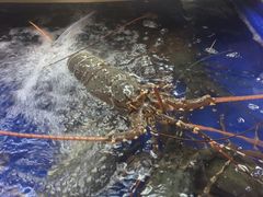 -班赞海鲜市场