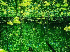 -杭州西湖星空魔幻城(星空艺术馆品牌旗舰店)