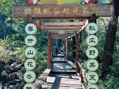 -大岭沟猕猴桃谷风景区
