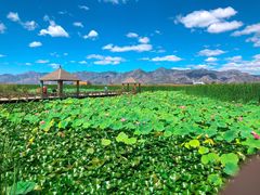 -敕勒川草原文化旅游区