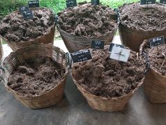 -大象粑粑造纸公园
