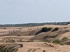 -银肯塔拉沙漠生态旅游景区