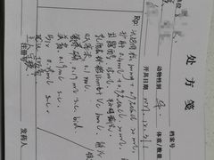 -御宝贝24h宠物医院·转诊中心·CT核磁血透中心(厦门总院)