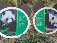 -深圳野生动物园