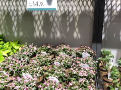 -鹿岛会员店 (龙湖三千集天街店)