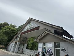 -中国大熊猫保护研究中心雅安碧峰峡基地