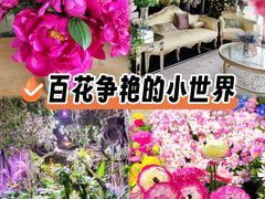 -花之城