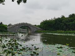 -映月湖公园