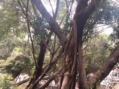 -伦教678文化街