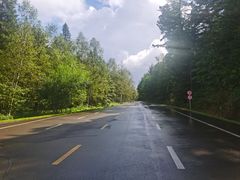 -五营红松林海景区