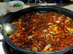 -香坝坝鲜鱼火锅(春熙路店)