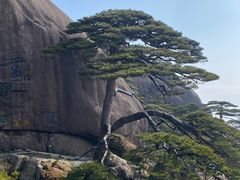 -黄山光明顶山庄