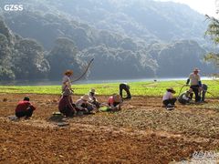 -广州市石门国家森林公园