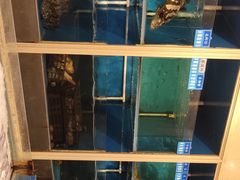 水产区-金时代顺风大酒店(协泰店)