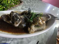 清蒸老虎斑-范饭椰林川湘味海鲜·椰子鸡(三亚湾椰梦长廊店)