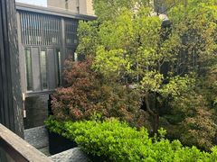 -上海崇明金茂凯悦酒店