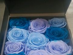 android_upload_pic-ROSEONLY诺誓(广州K11店)